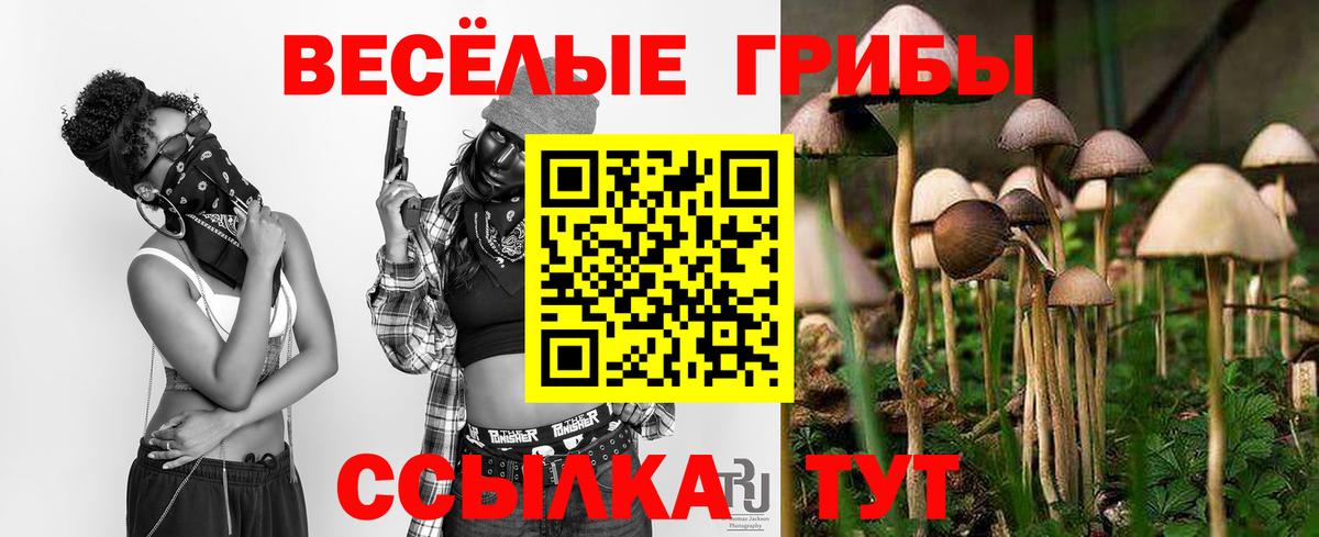 Псилоцибиновые грибы мицелий Крымск